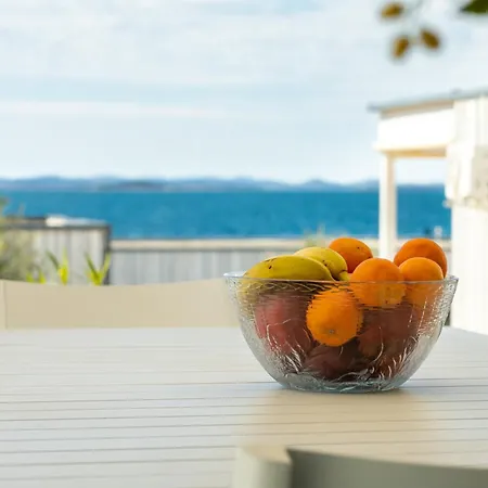 Buqez Eco - 12 - View