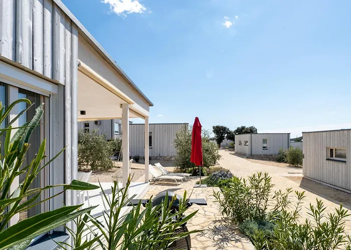 Buqez Eco - 12 - View