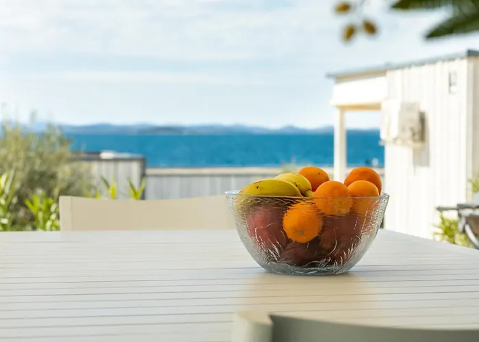 Buqez Eco - 12 - View