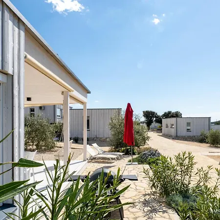 Buqez Eco - 12 - View