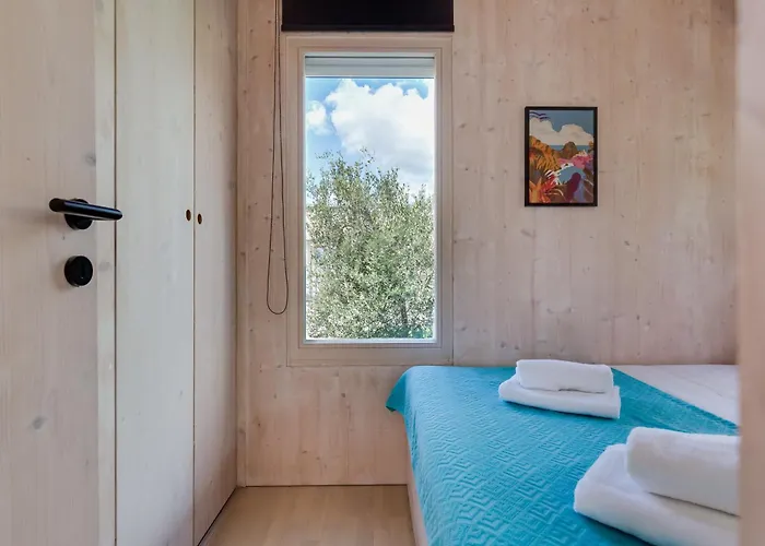 Buqez Eco - 12 - View *